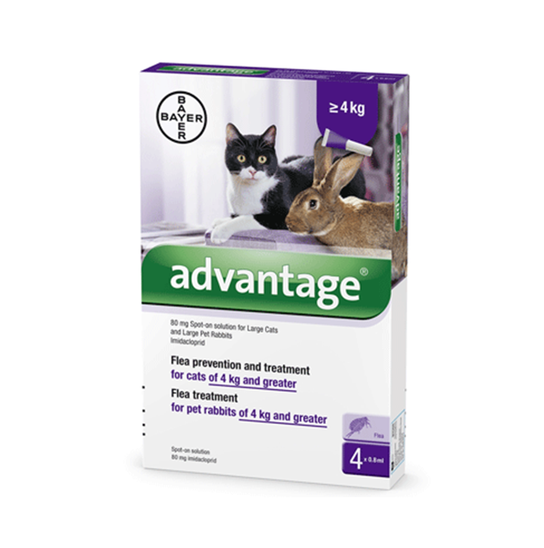 Advantage אמפולות - טיפול בפרעושים וקרציות לחתולים